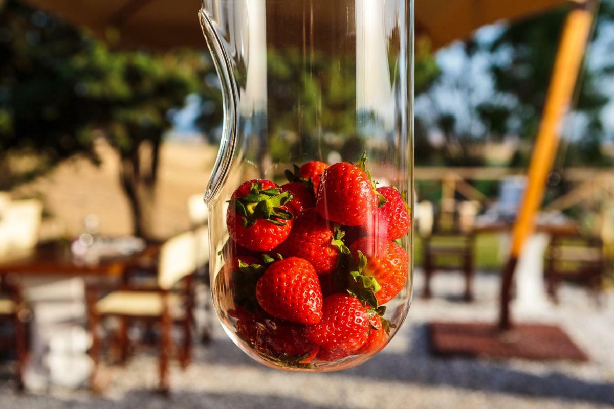 Il Montelletto Bed & Breakfast Санта Луче Екстериор снимка
