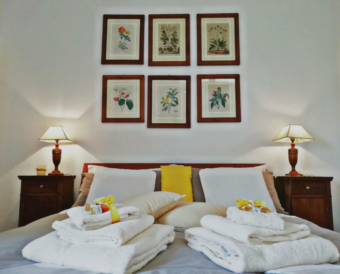 Il Montelletto Bed & Breakfast Санта Луче Екстериор снимка